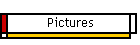 Pictures
